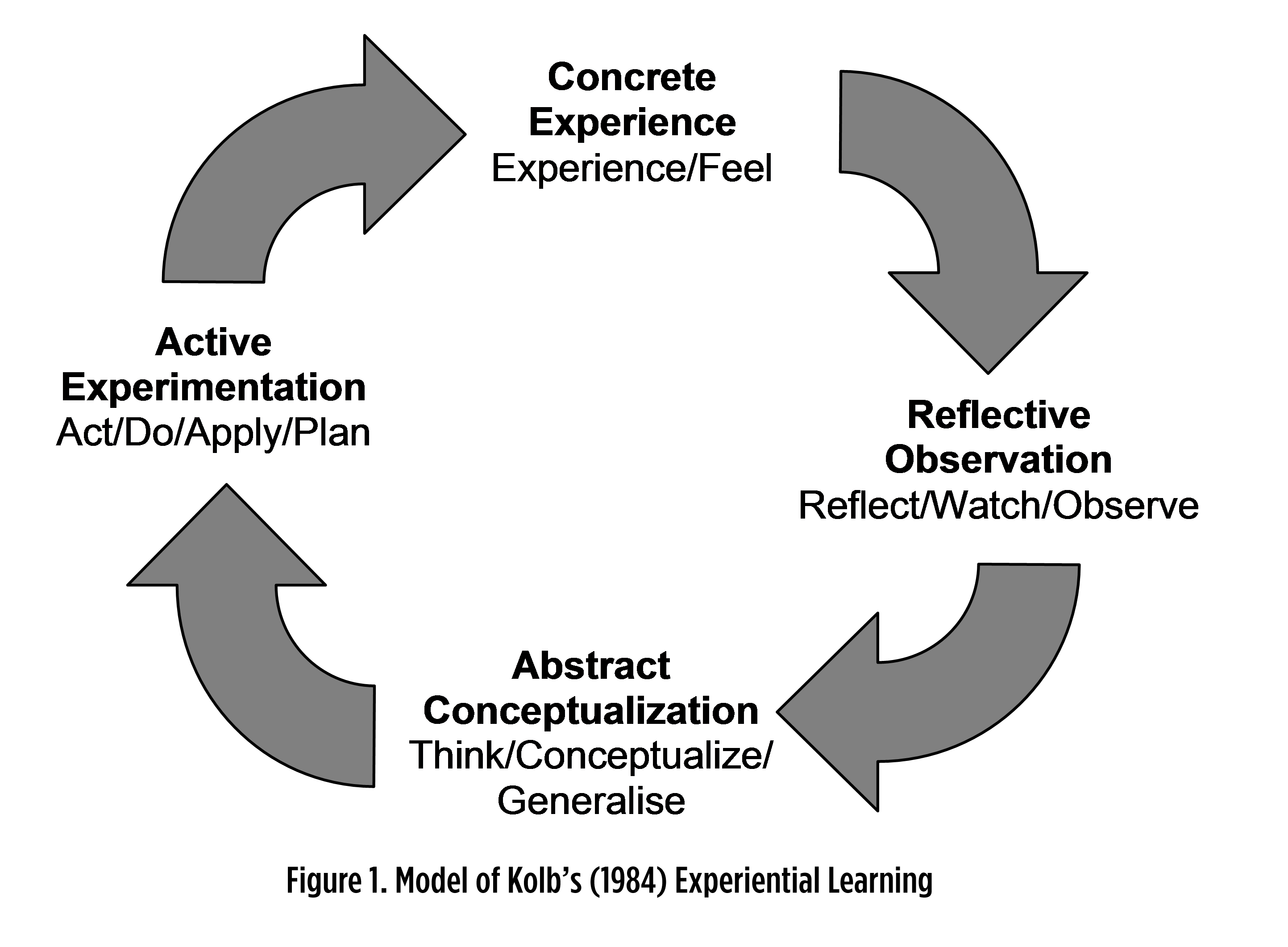 Piaget Learning Styles 2024 favors